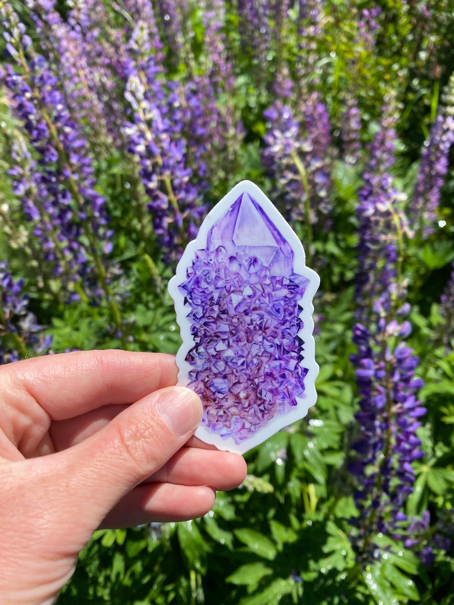 Cactus Quartz Sticker
