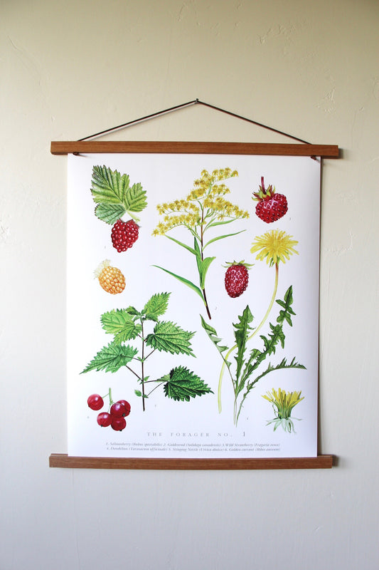 The Forager No. 1- Edible Wild Foods Poster