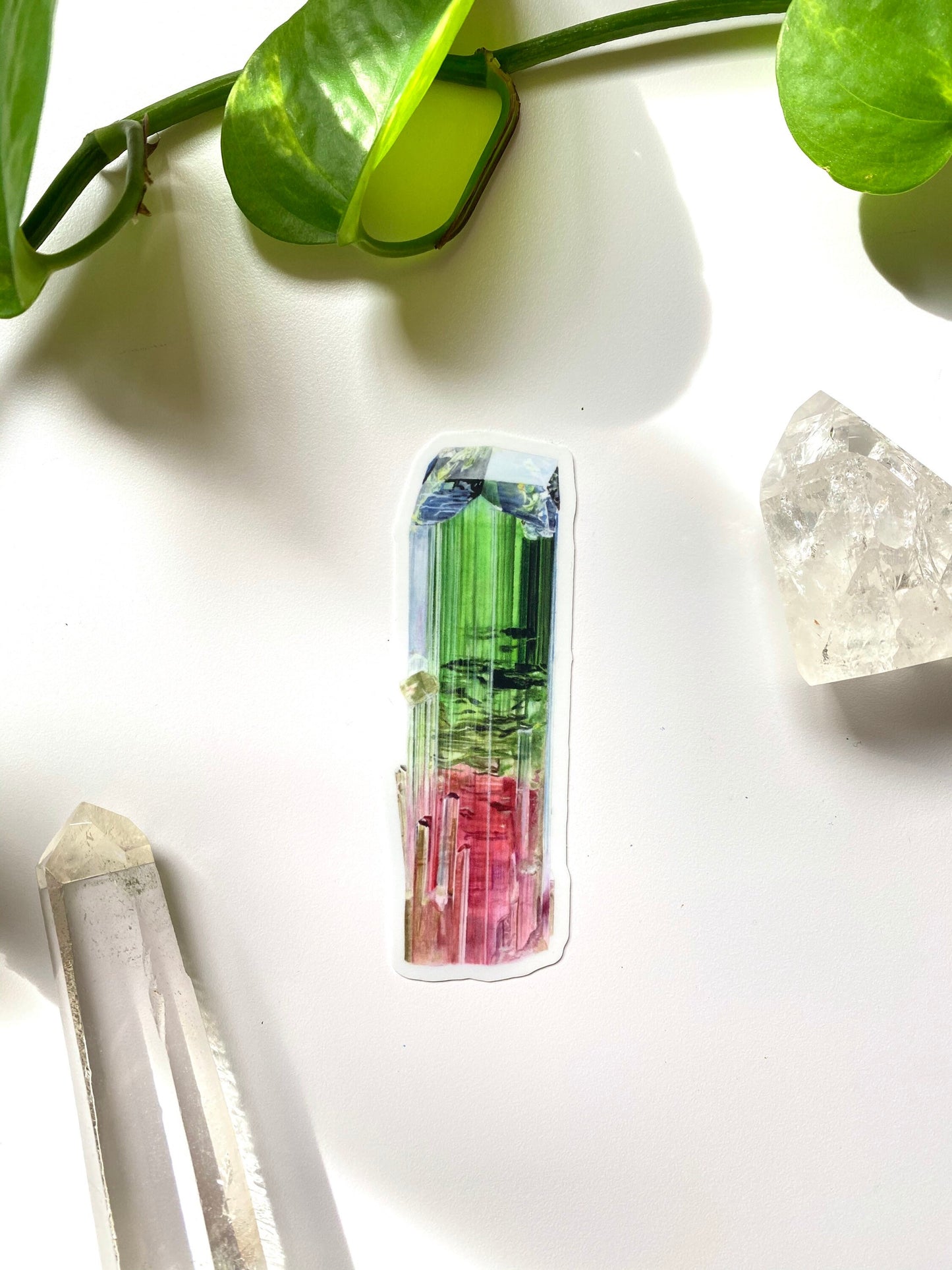 Paprok Tourmaline Sticker