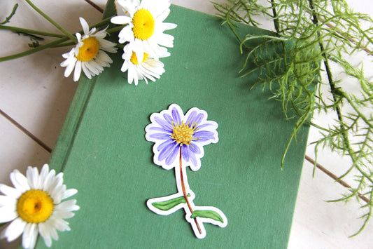 Aster Watercolor Sticker