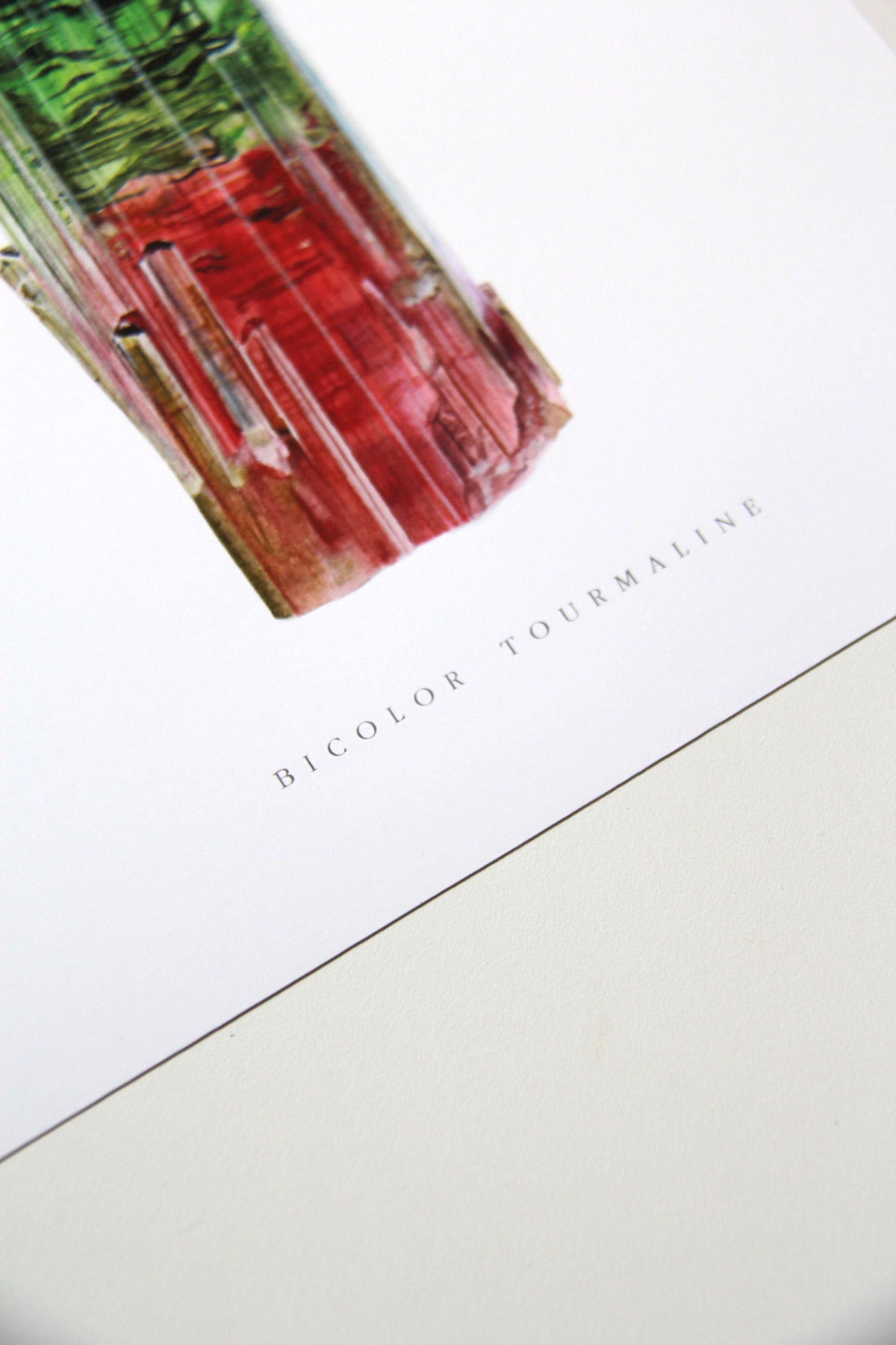 Paprok Tourmaline Watercolor Print