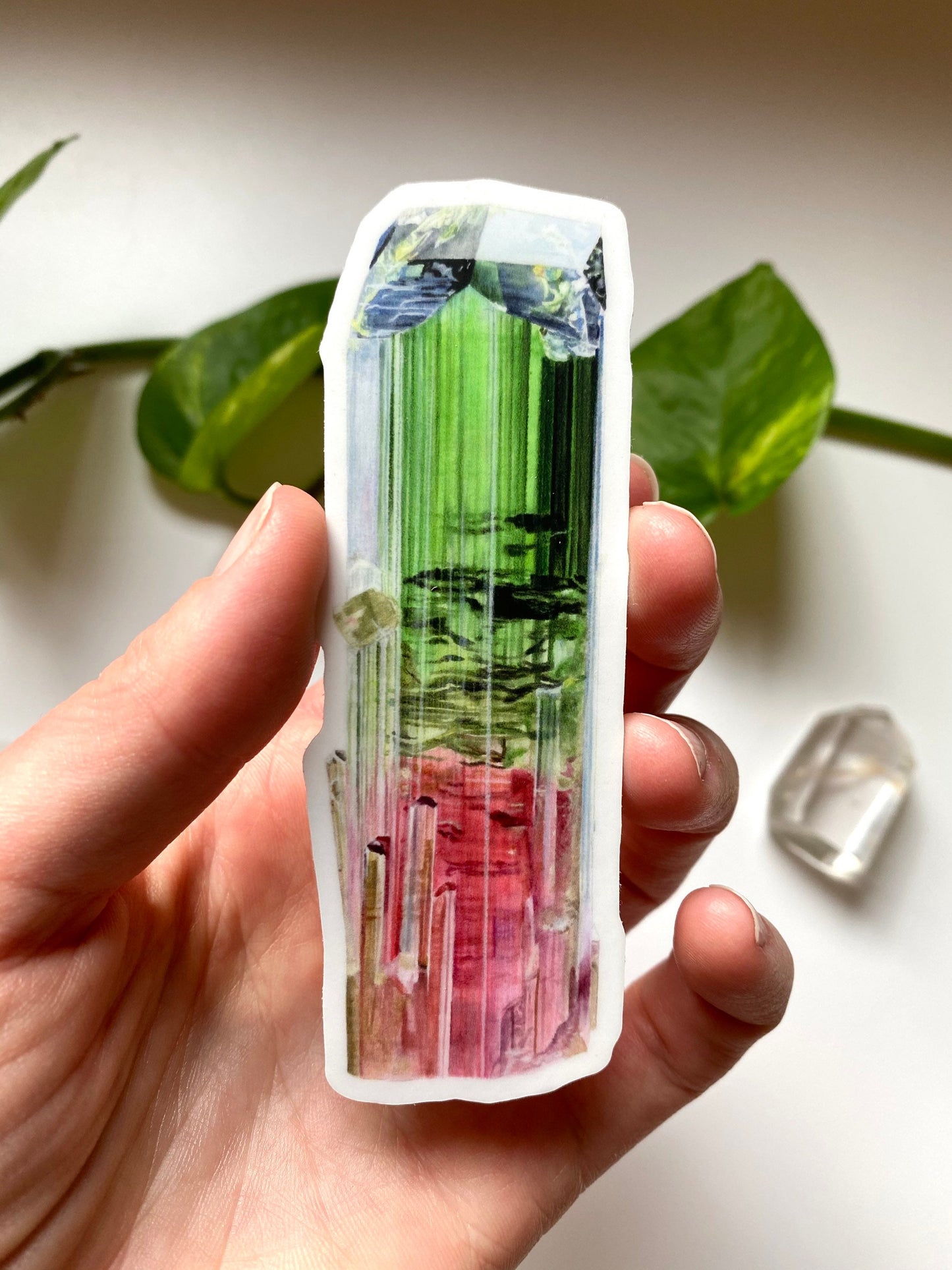 Paprok Tourmaline Sticker