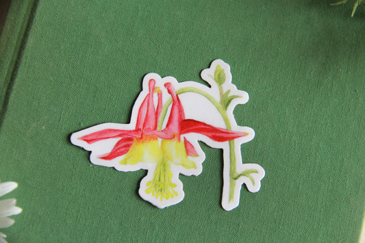 Columbine Flower (Aquilegia formosa) vinyl sticker