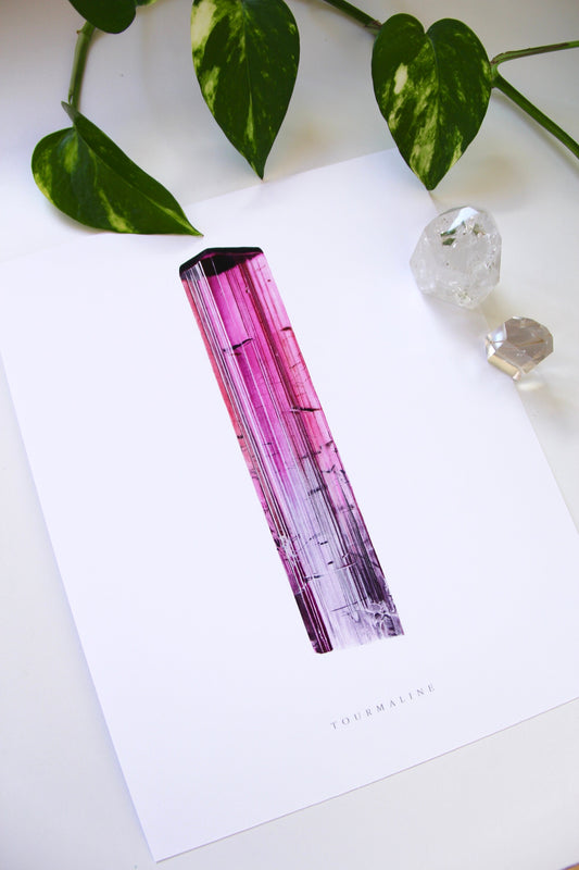 Pink Tourmaline Print