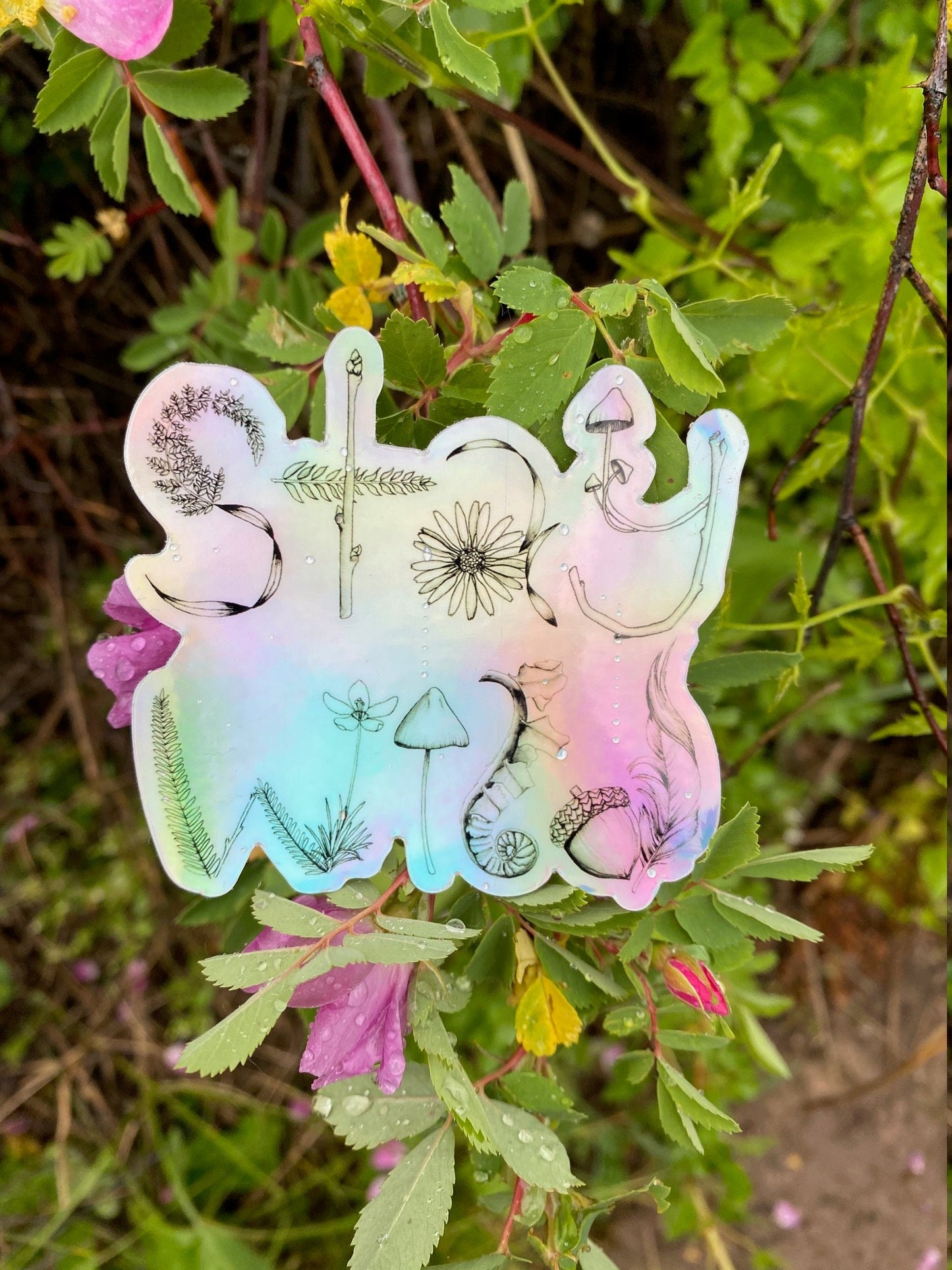 Holographic Stay Wild Sticker