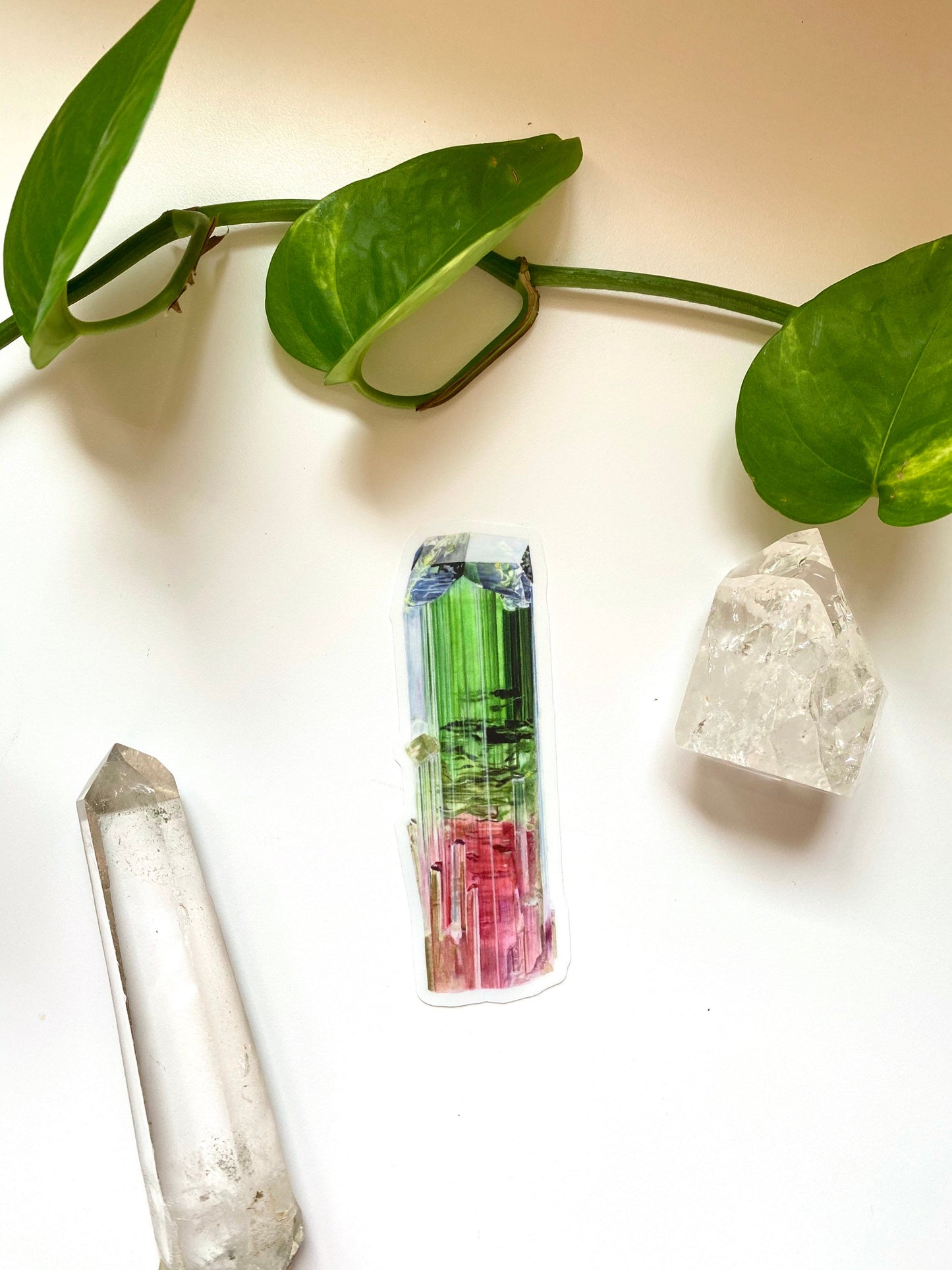 Paprok Tourmaline Sticker