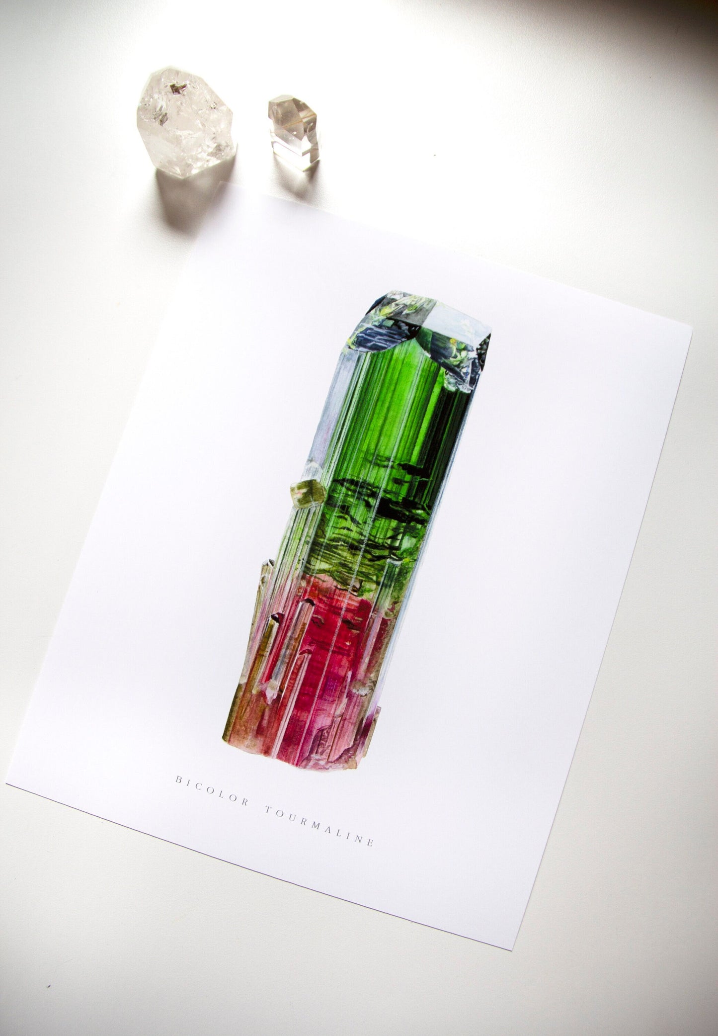 Paprok Tourmaline Watercolor Print