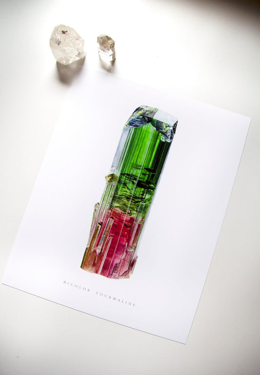 Paprok Tourmaline Watercolor Print