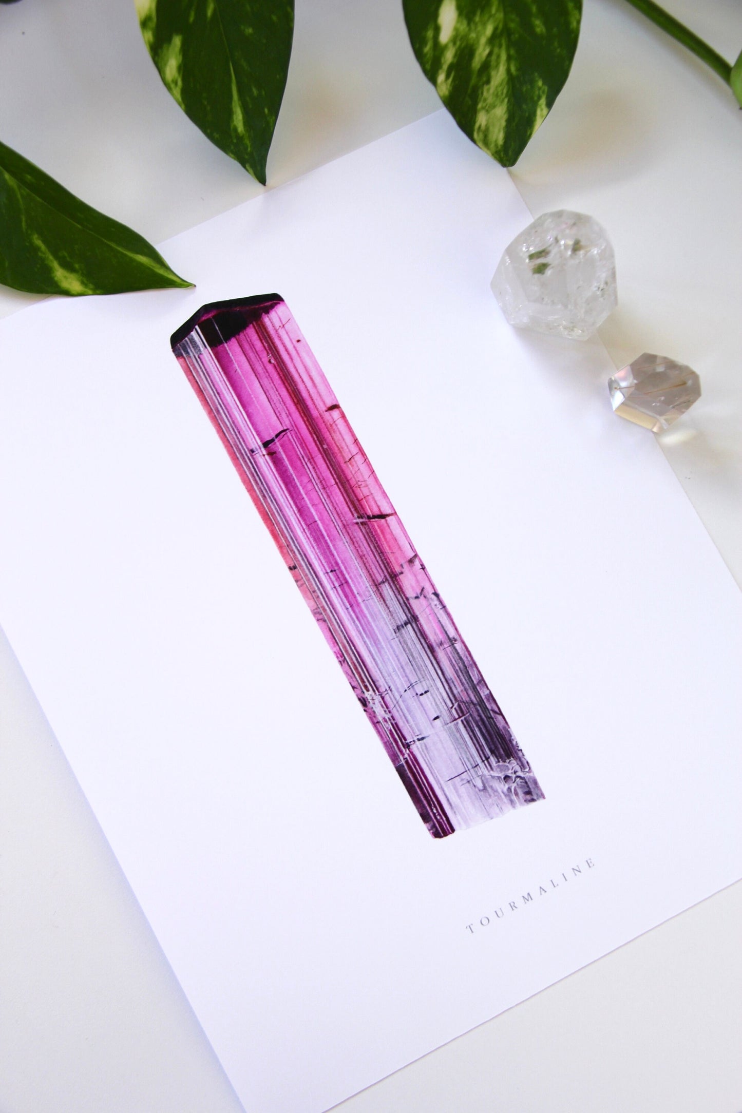Pink Tourmaline Print