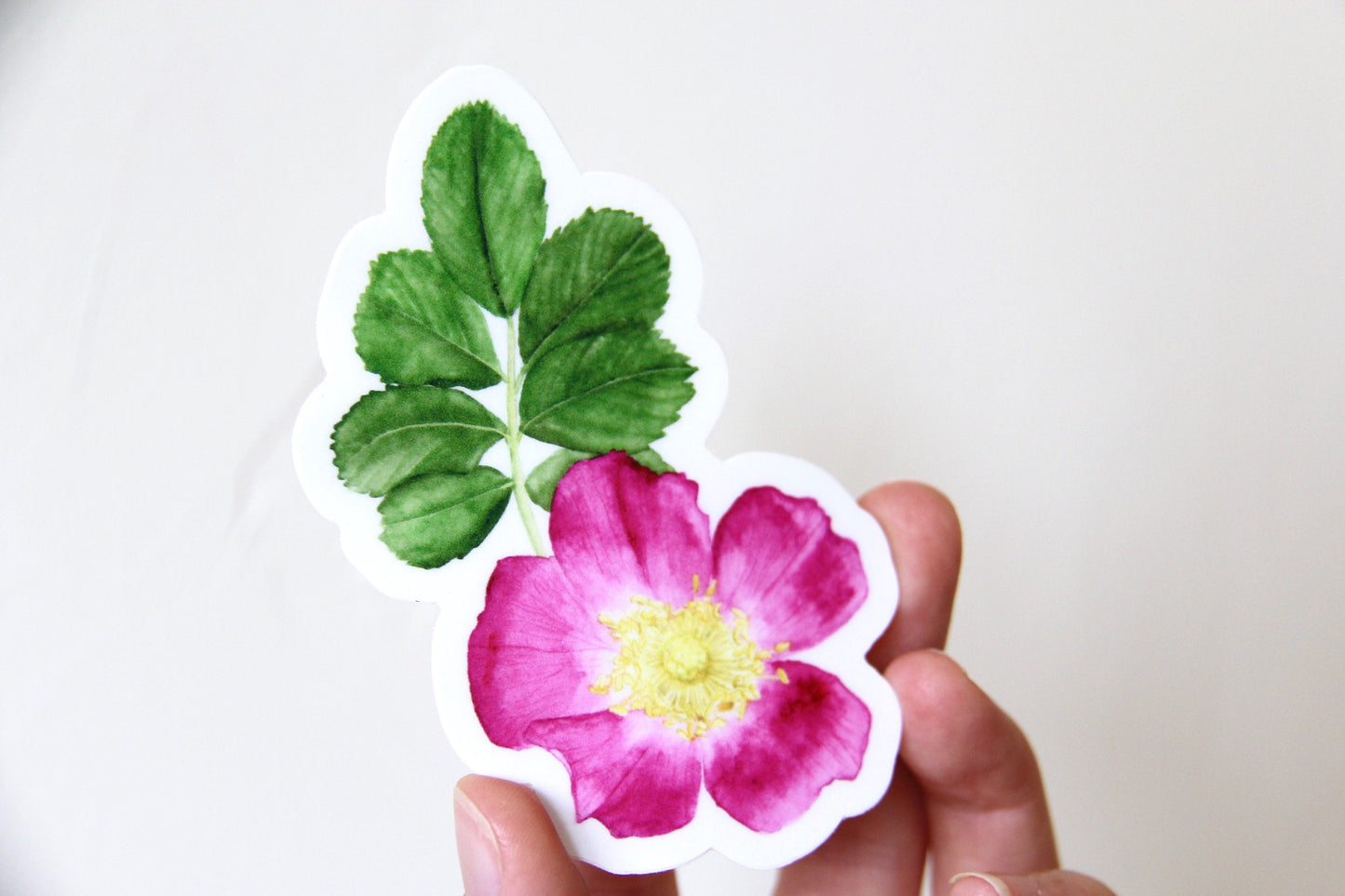 Wild Rose Sticker- Watercolor Rose Sticker, Botanical Stickers, Flower Sticker, Flower Decals, Wildflowers