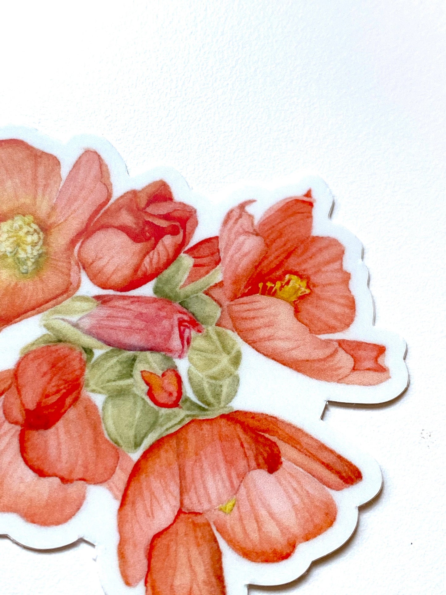 Globemallow Sticker