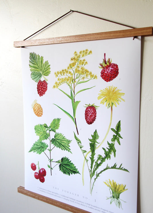 The Forager No. 1- Edible Wild Foods Poster
