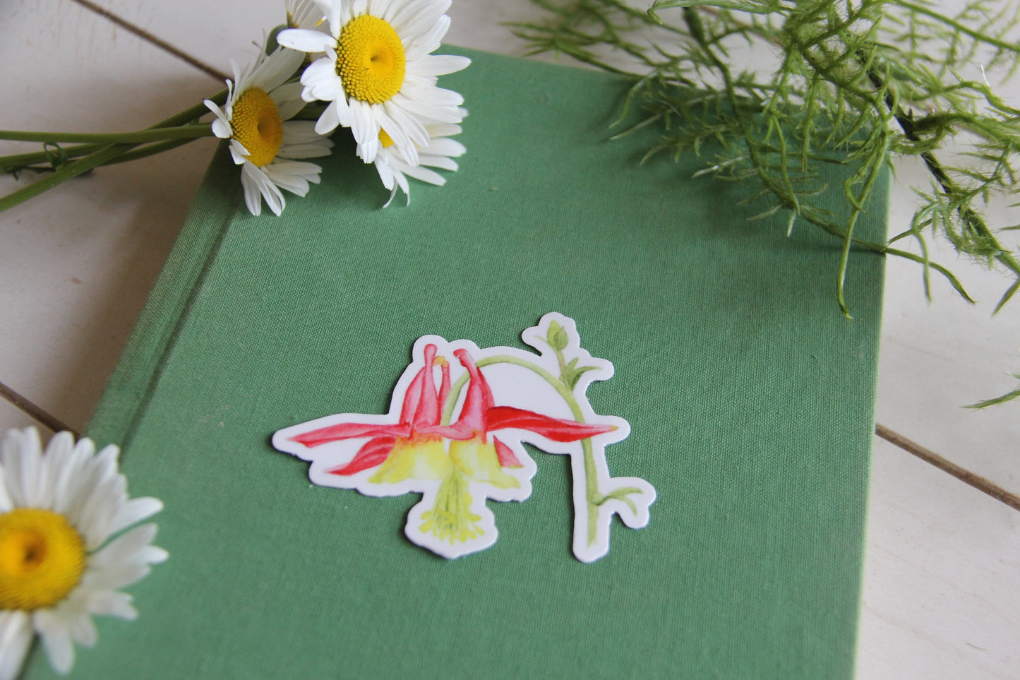 Columbine Flower (Aquilegia formosa) vinyl sticker