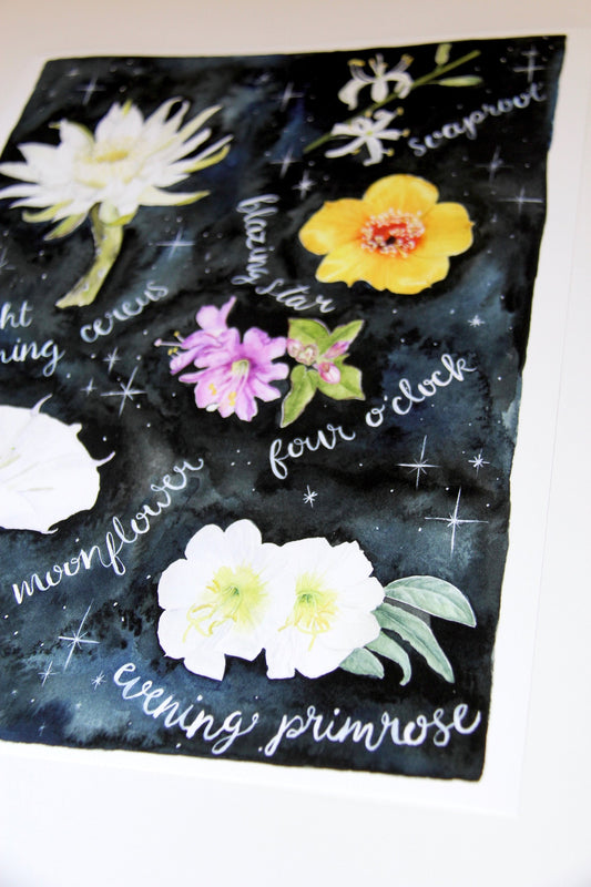 Night Blooming Flowers Watercolor Art Print