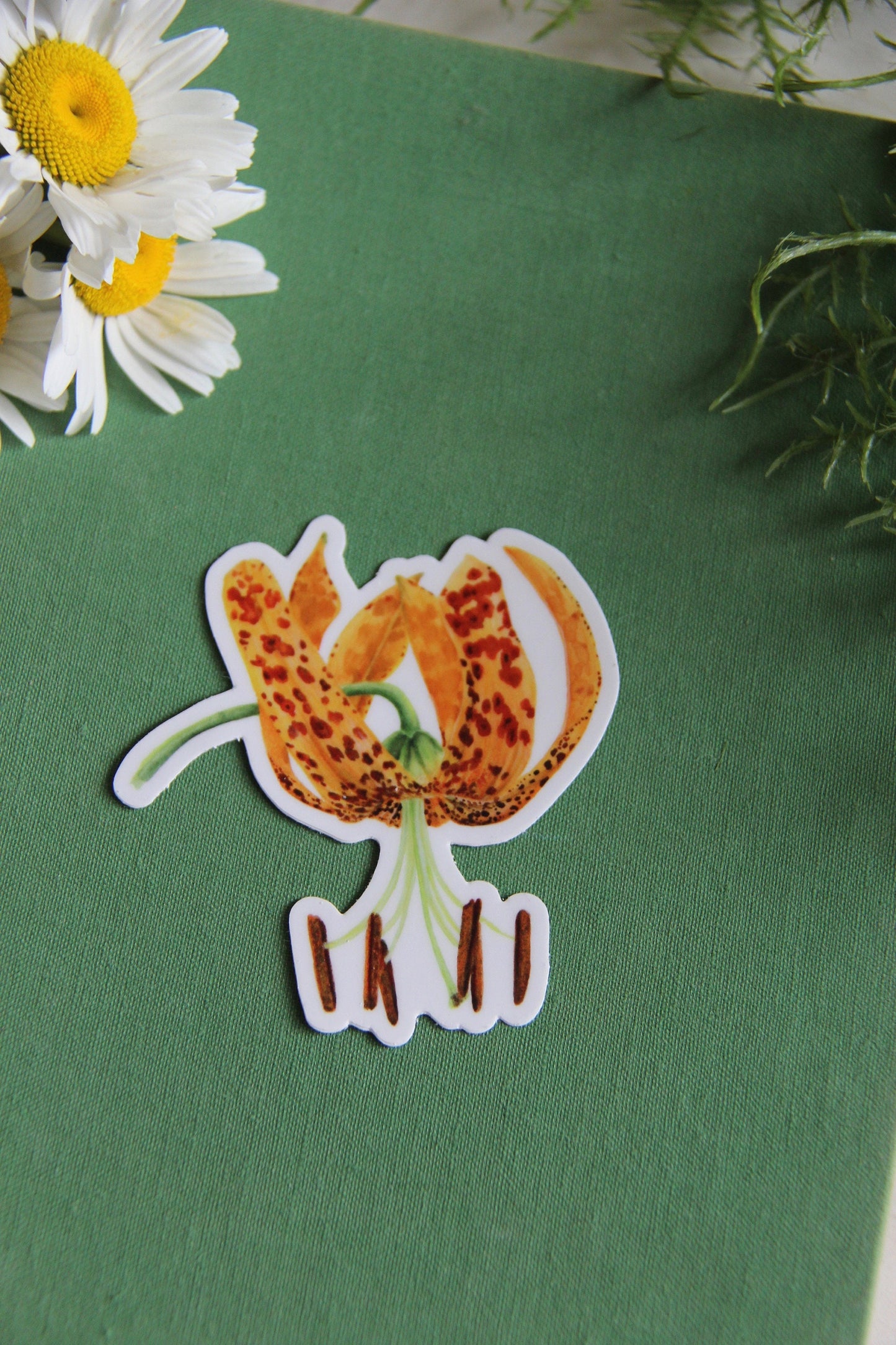 Humboldt Lily Watercolor Vinyl Sticker
