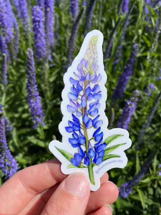 Watercolor Lupine Sticker- Lupine Vinyl Sticker, Wildflower Stickers, Flower Sticker, Botanical Sticker