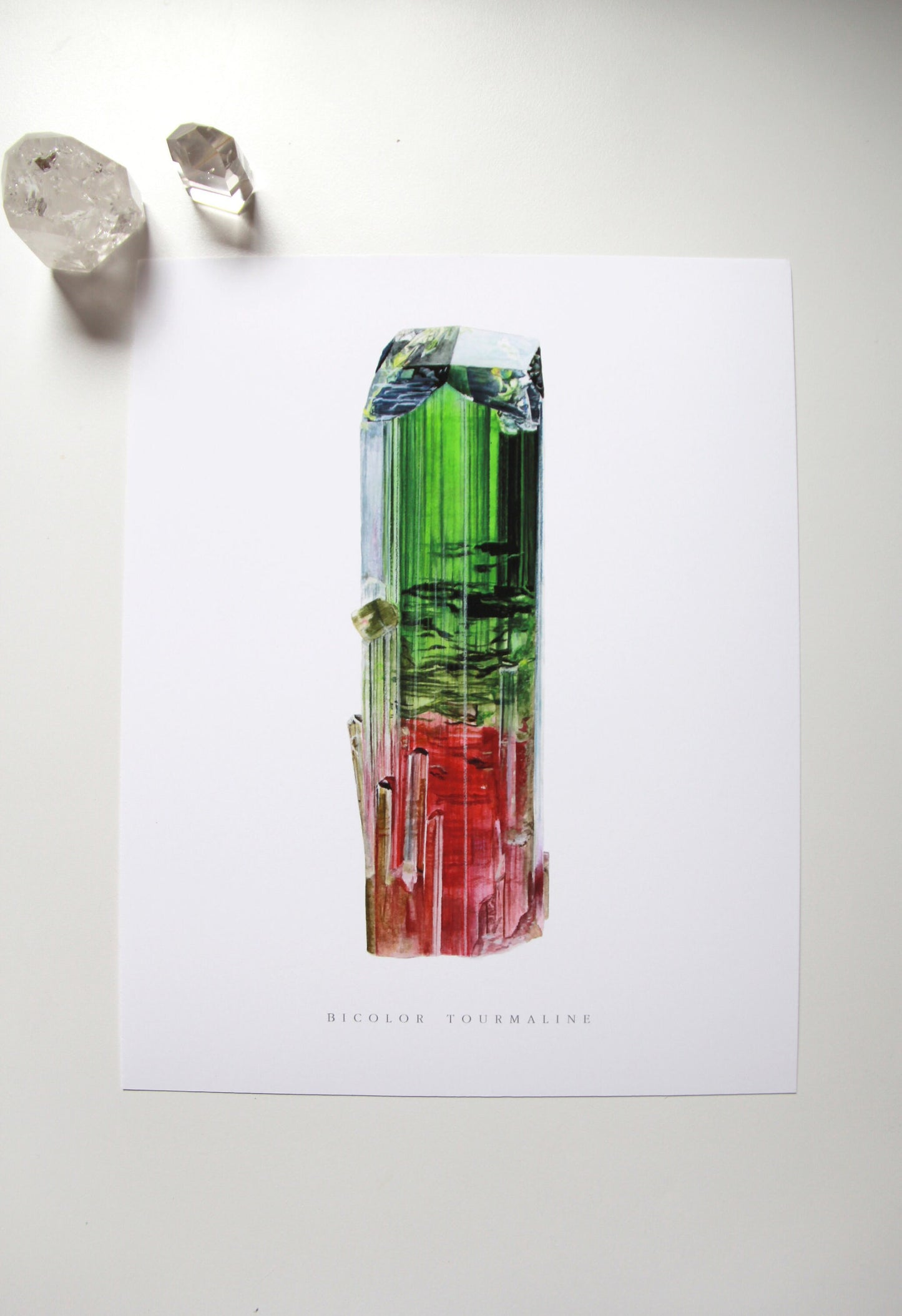Paprok Tourmaline Watercolor Print