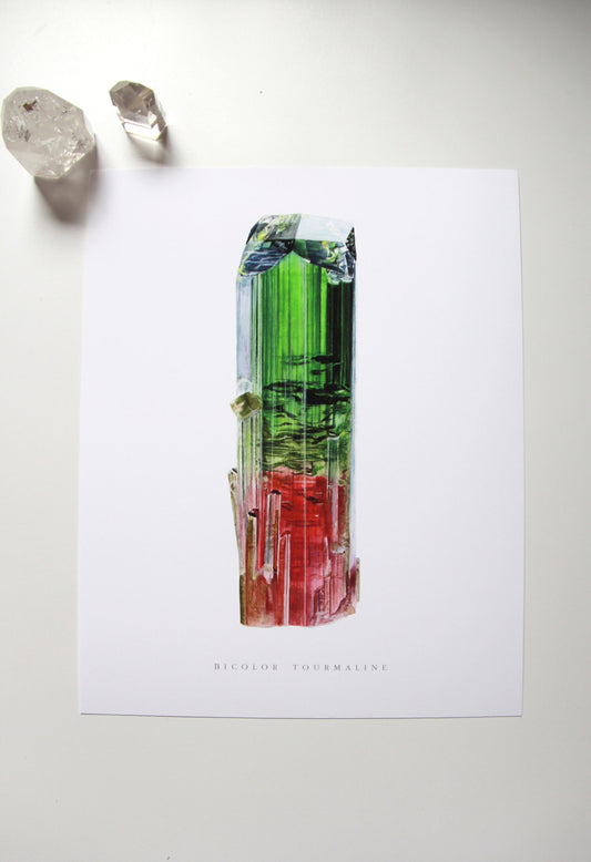 Paprok Tourmaline Watercolor Print