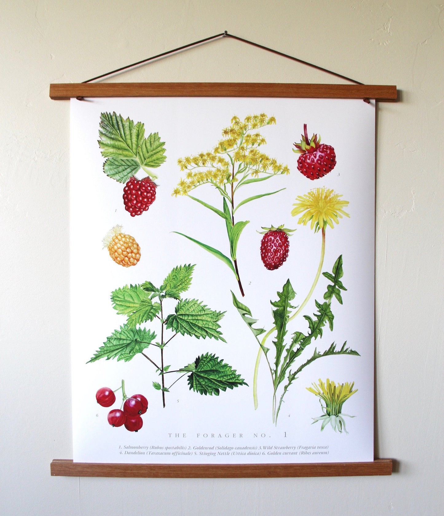 The Forager No. 1- Edible Wild Foods Poster
