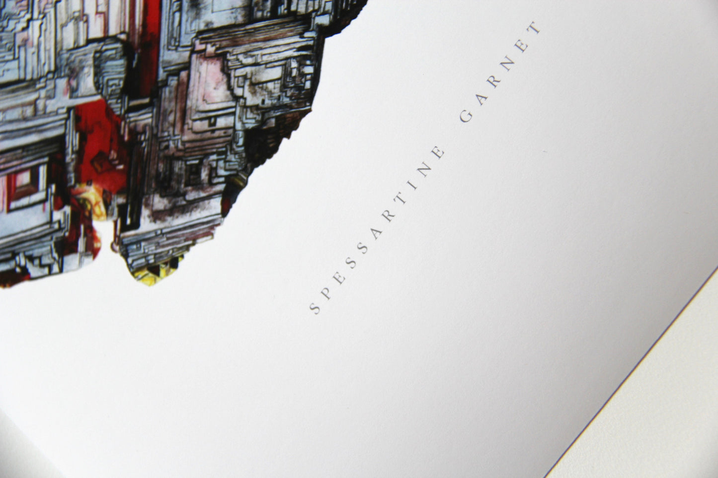 Spessartine Garnet Print (Nevagadora)