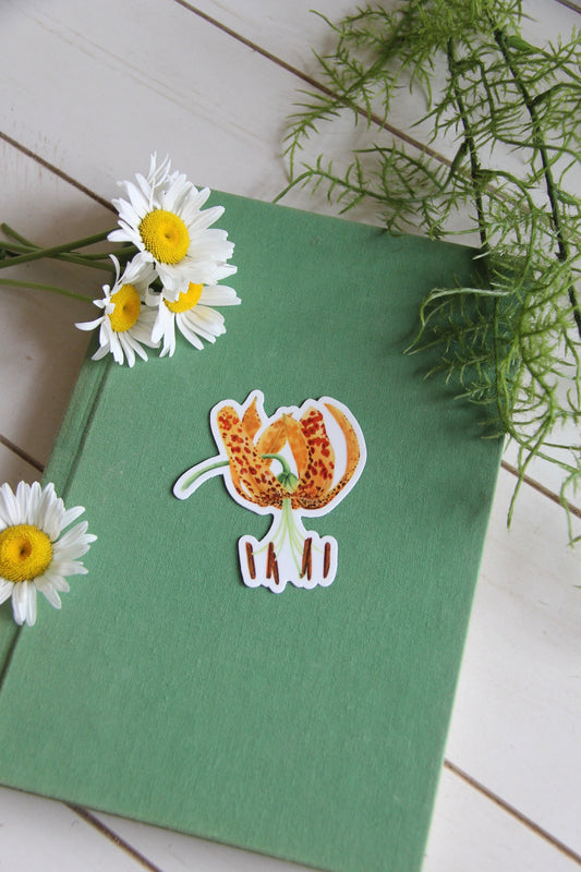 Humboldt Lily Watercolor Vinyl Sticker