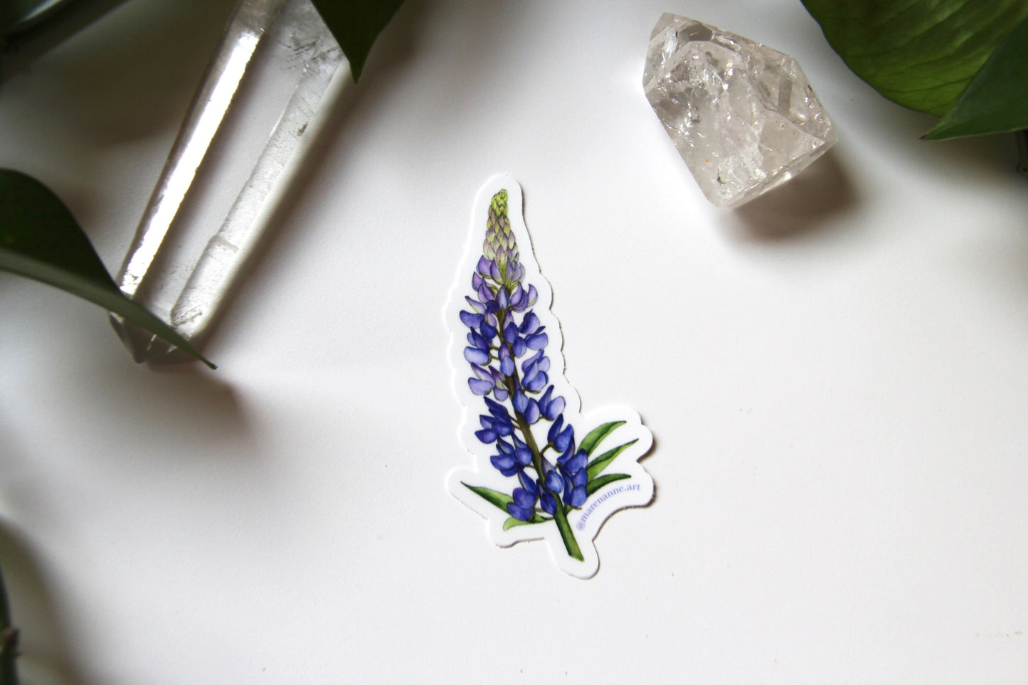 Watercolor Lupine Sticker- Lupine Vinyl Sticker, Wildflower Stickers, Flower Sticker, Botanical Sticker