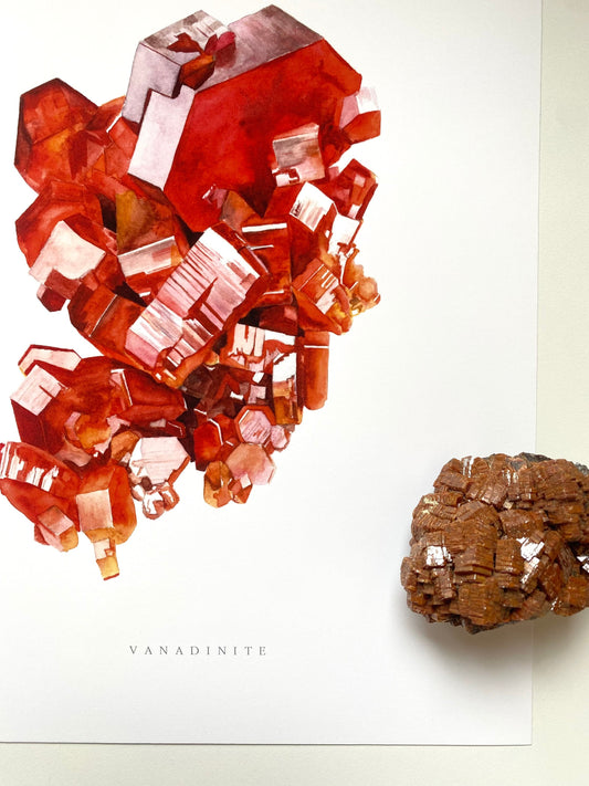 Vanadinite Crystal Print- Vanadinite Specimen Watercolor Print, Geology Art Print, Crystal Print, Gemstone Print