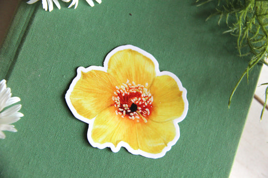 Blazing Star Sticker