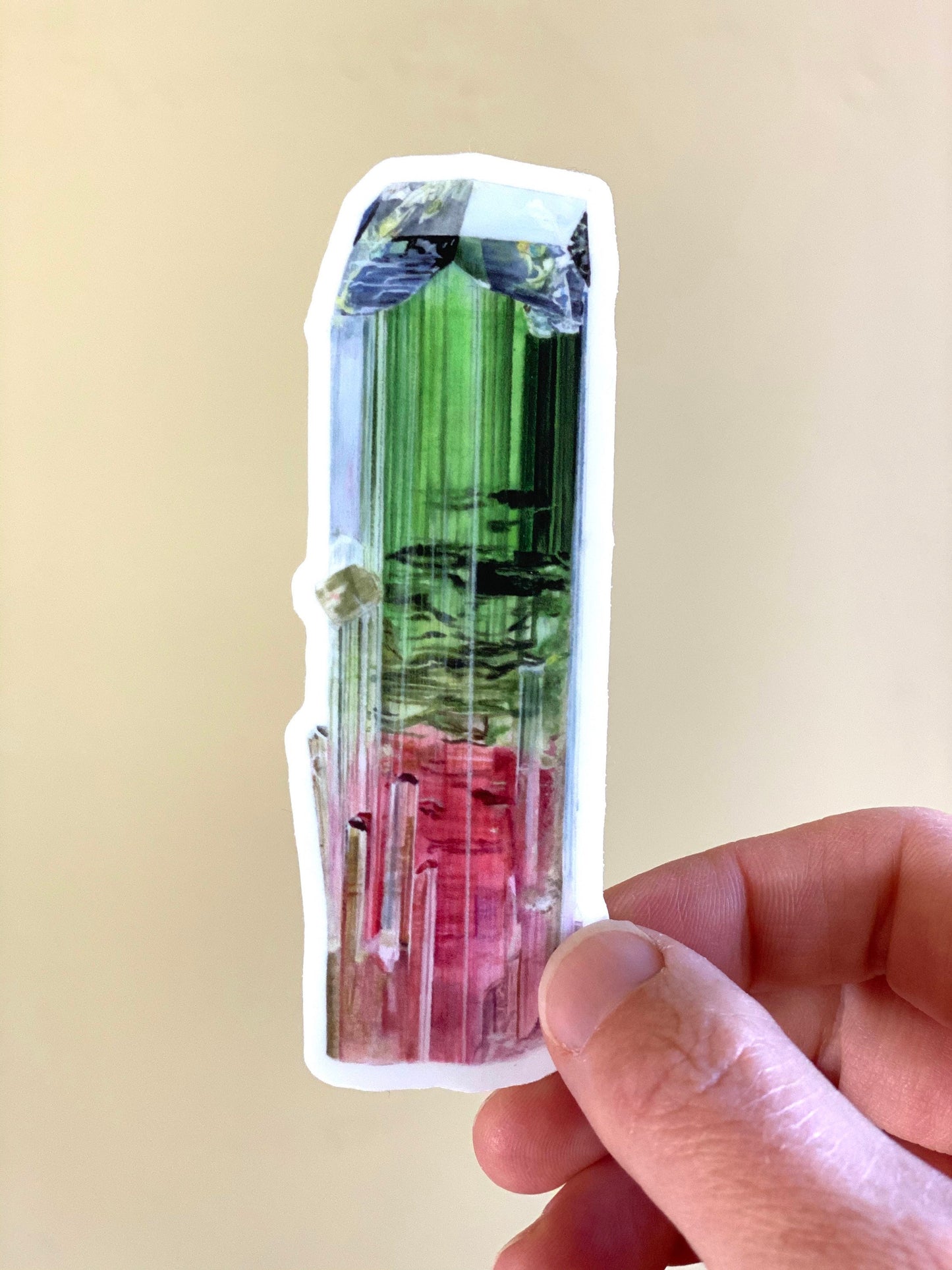 Paprok Tourmaline Sticker