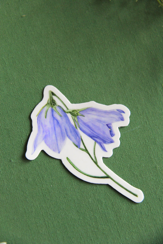 Harebell Vinyl Sticker