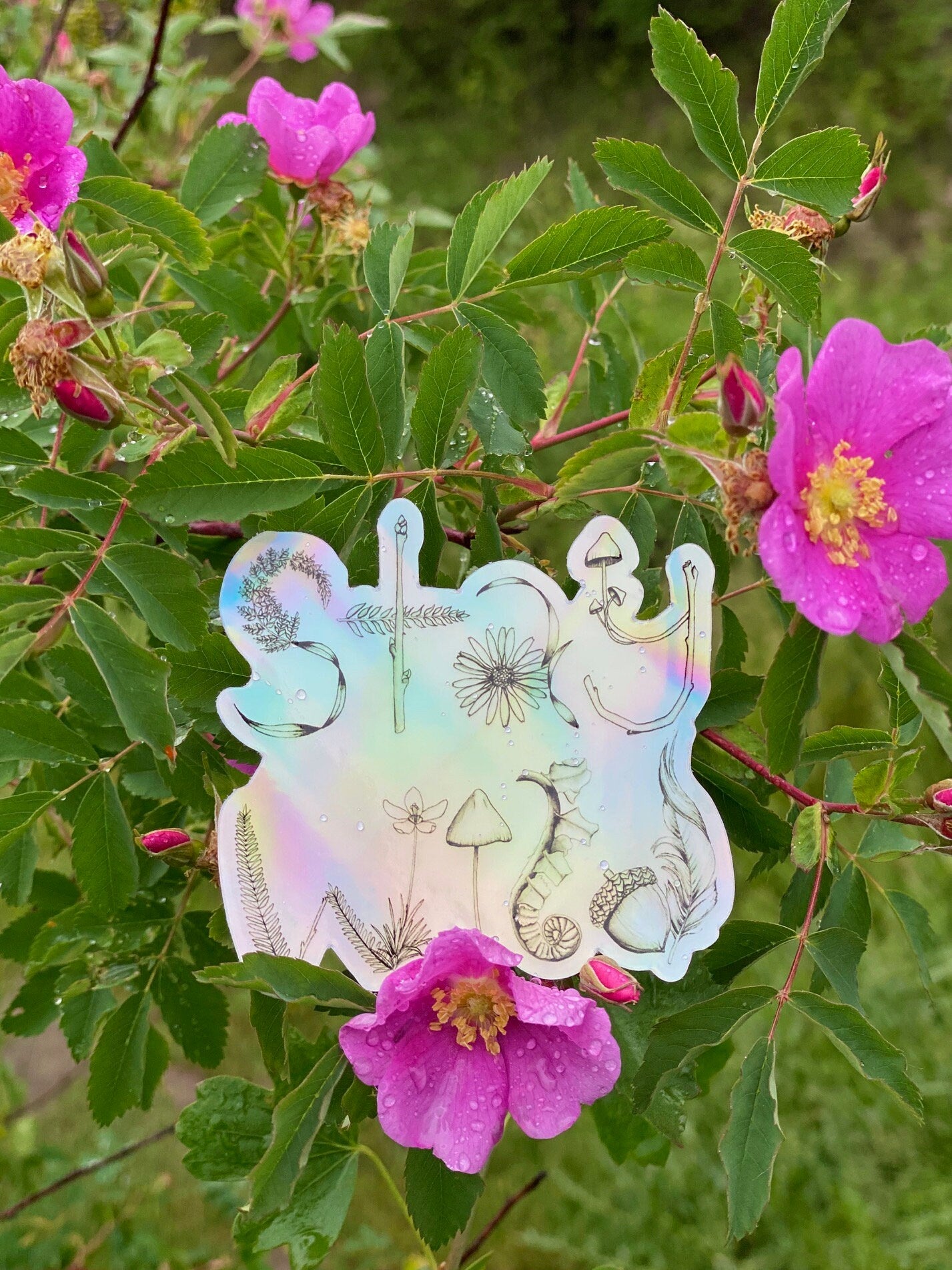 Holographic Stay Wild Sticker