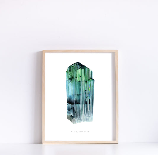 Watercolor Liddicoatite Tourmaline Print