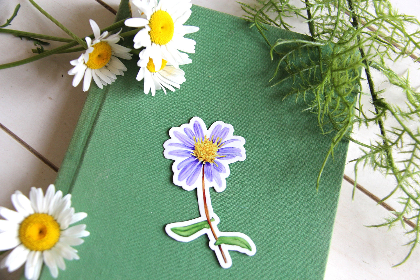 Aster Watercolor Sticker