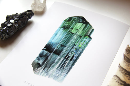 Watercolor Liddicoatite Tourmaline Print