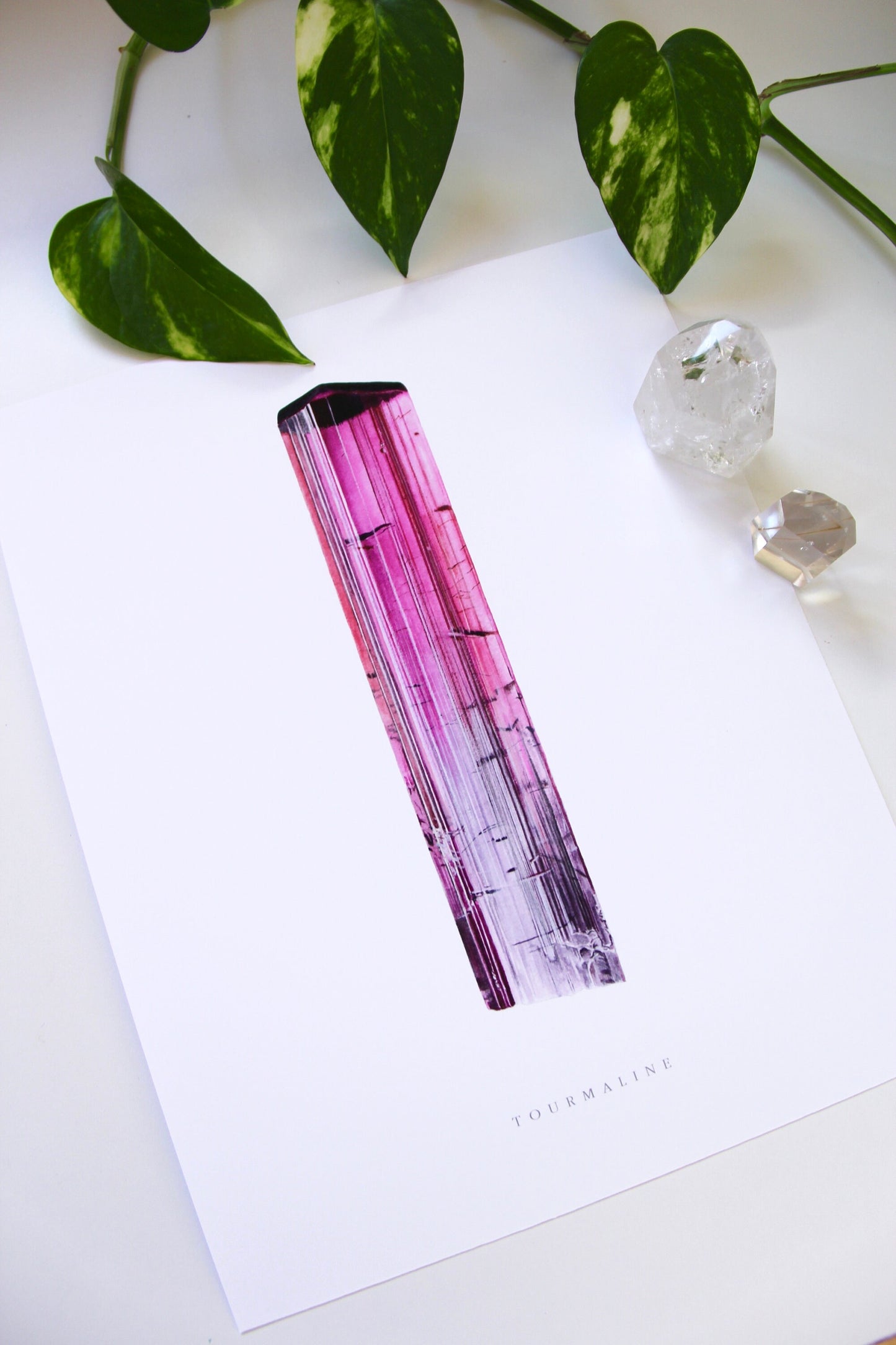 Pink Tourmaline Print