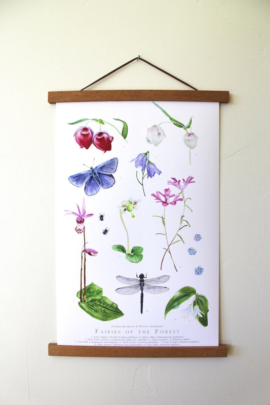Fairies of the Forest- Botanical Poster