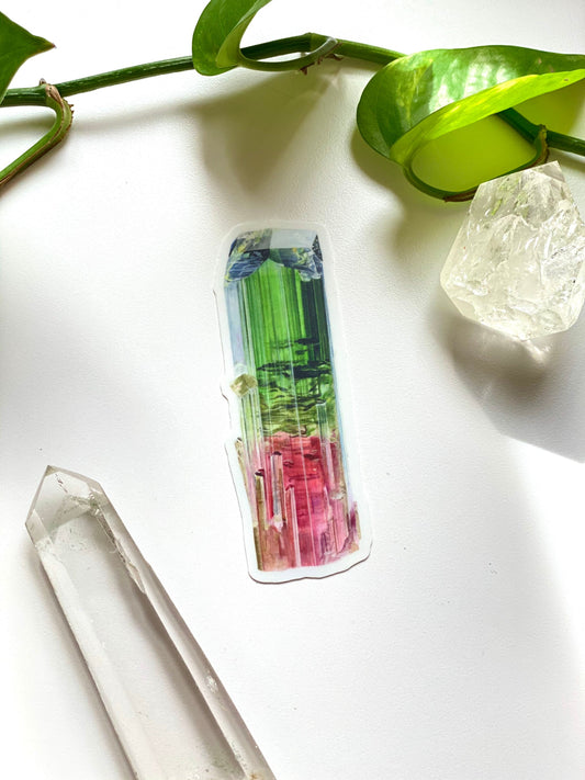 Paprok Tourmaline Sticker