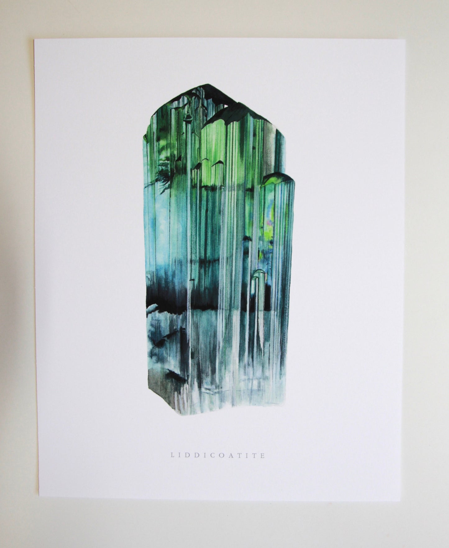 Watercolor Liddicoatite Tourmaline Print