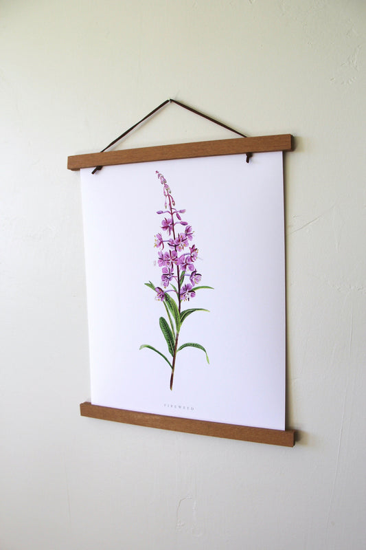 Fireweed Print- Watercolor Fireweed Print