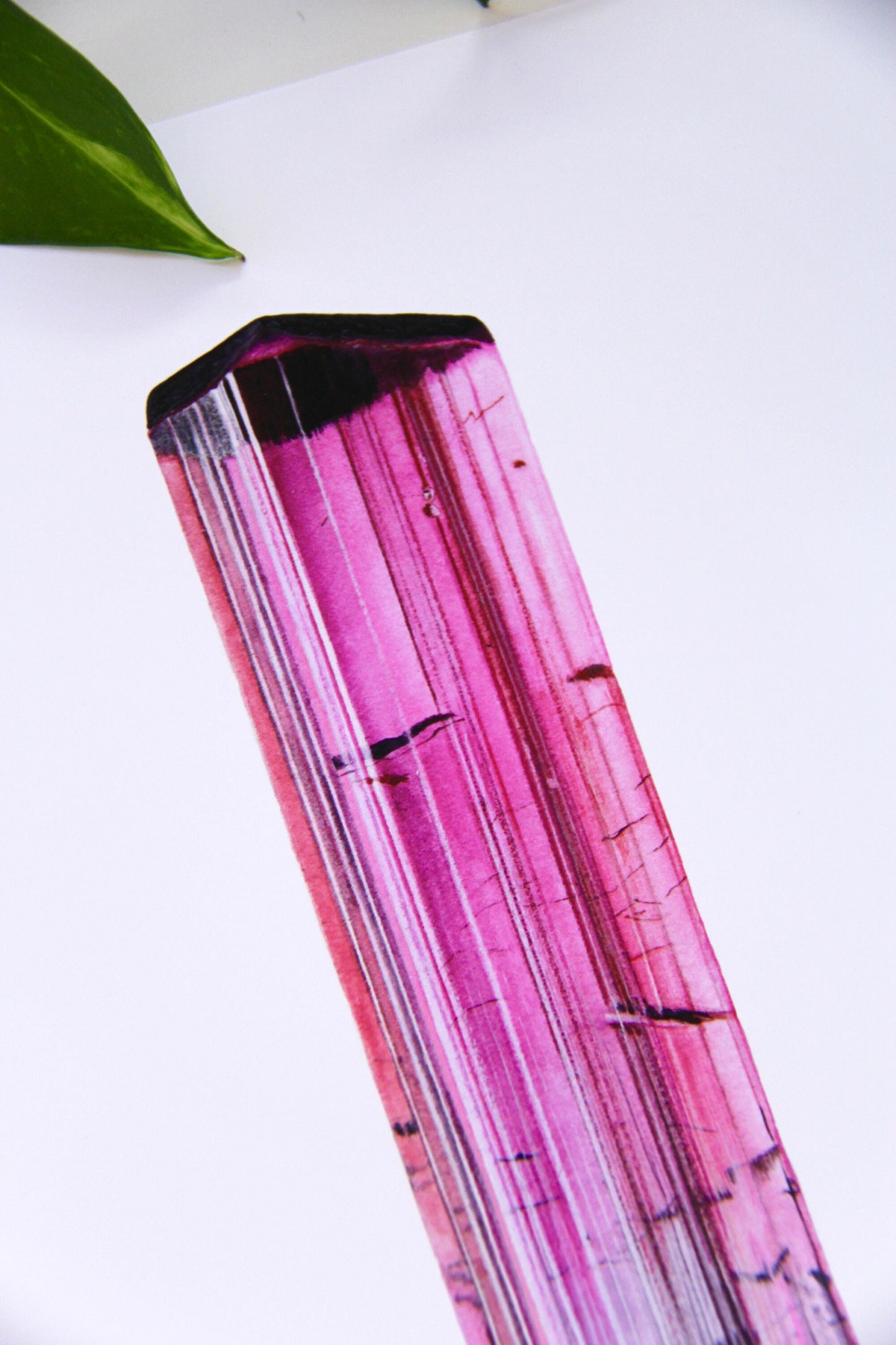 Pink Tourmaline Print