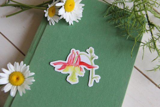 Columbine Flower (Aquilegia formosa) vinyl sticker