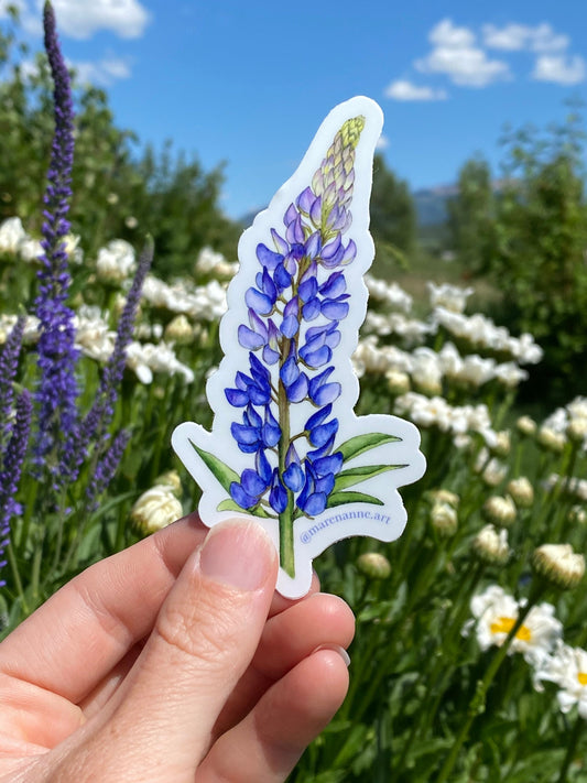 Watercolor Lupine Sticker- Lupine Vinyl Sticker, Wildflower Stickers, Flower Sticker, Botanical Sticker