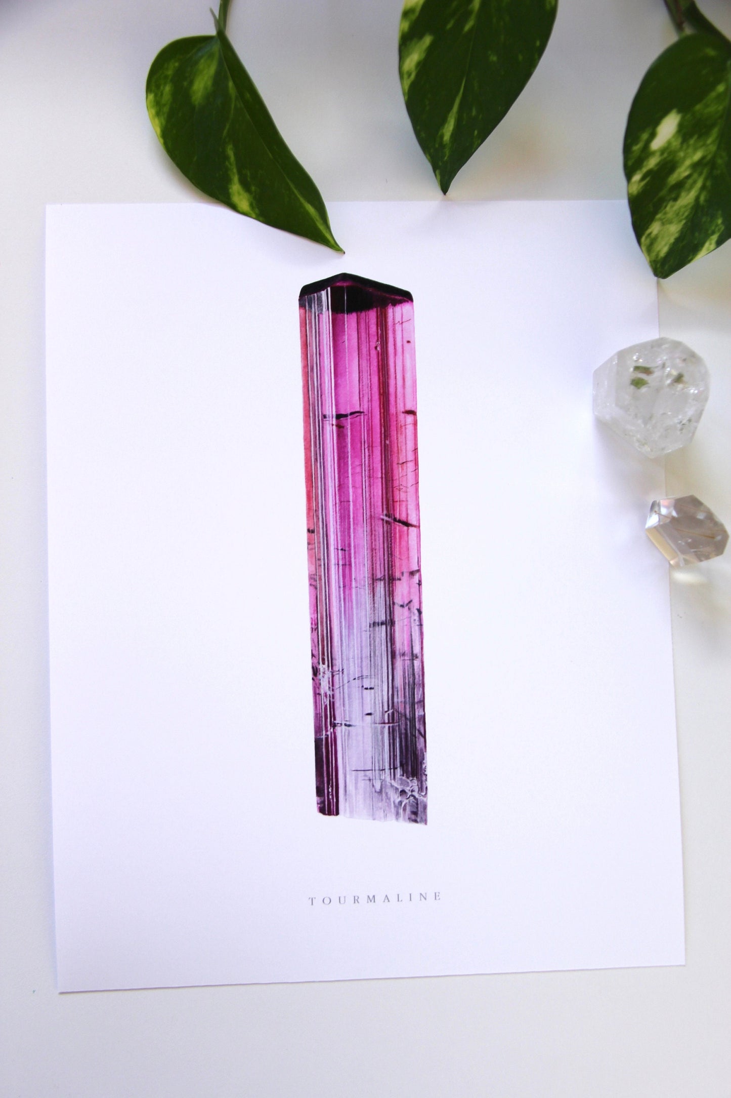 Pink Tourmaline Print