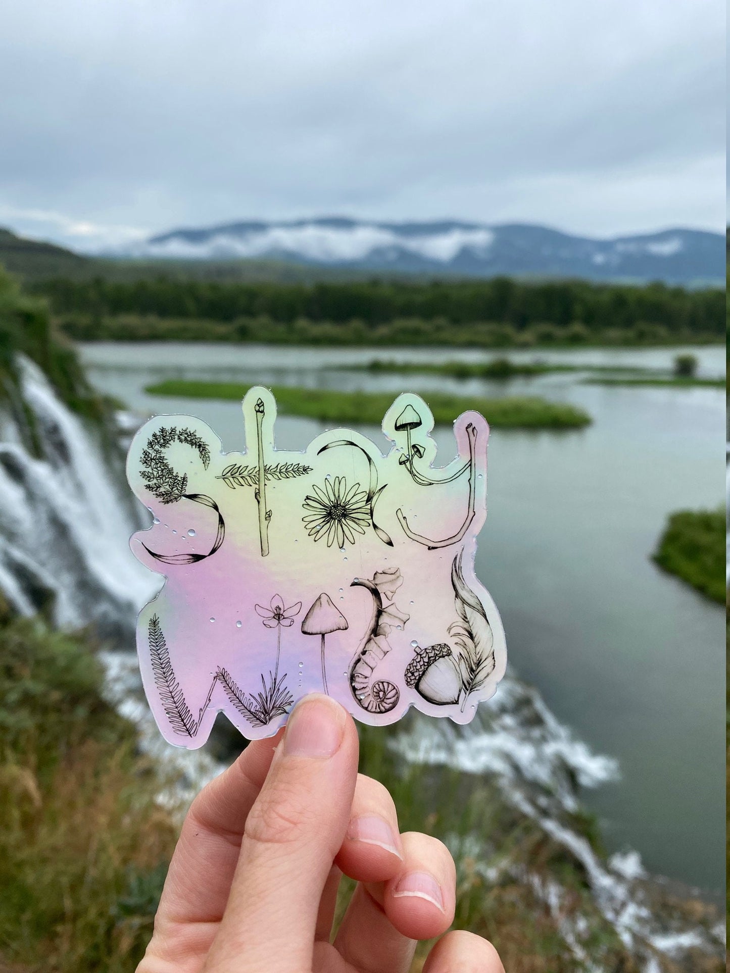 Holographic Stay Wild Sticker
