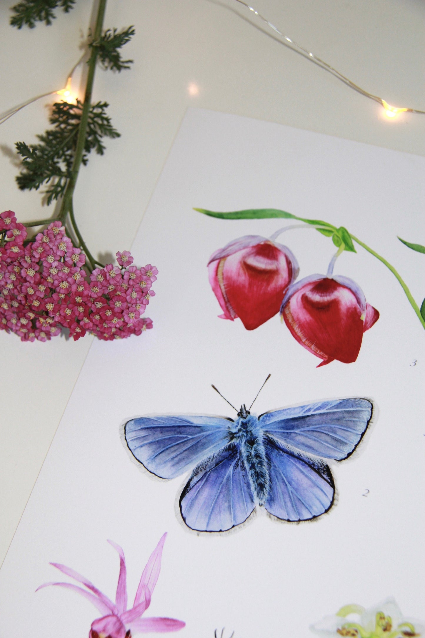 Fairies of the Forest- Botanical Poster