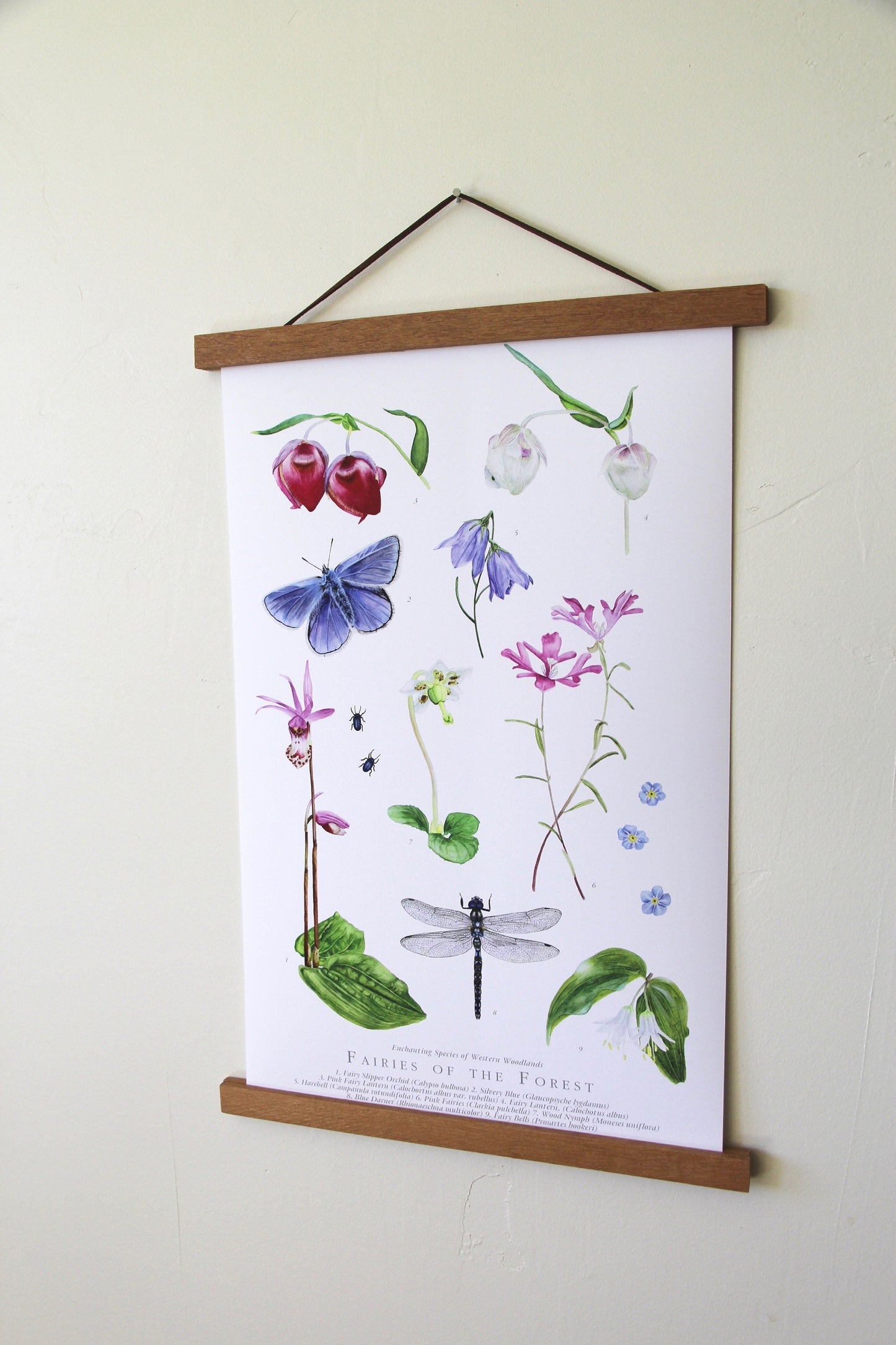 Fairies of the Forest- Botanical Poster