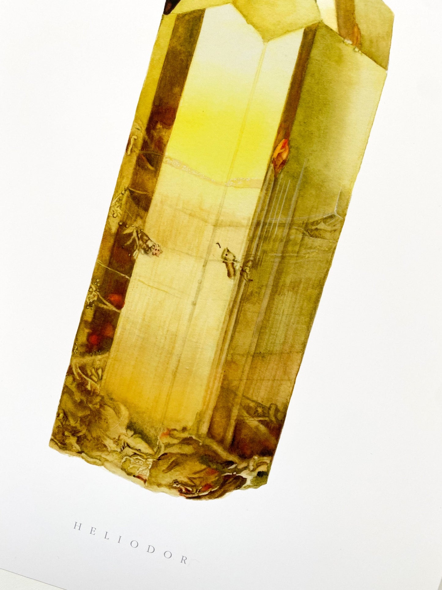 Watercolor Heliodor Print