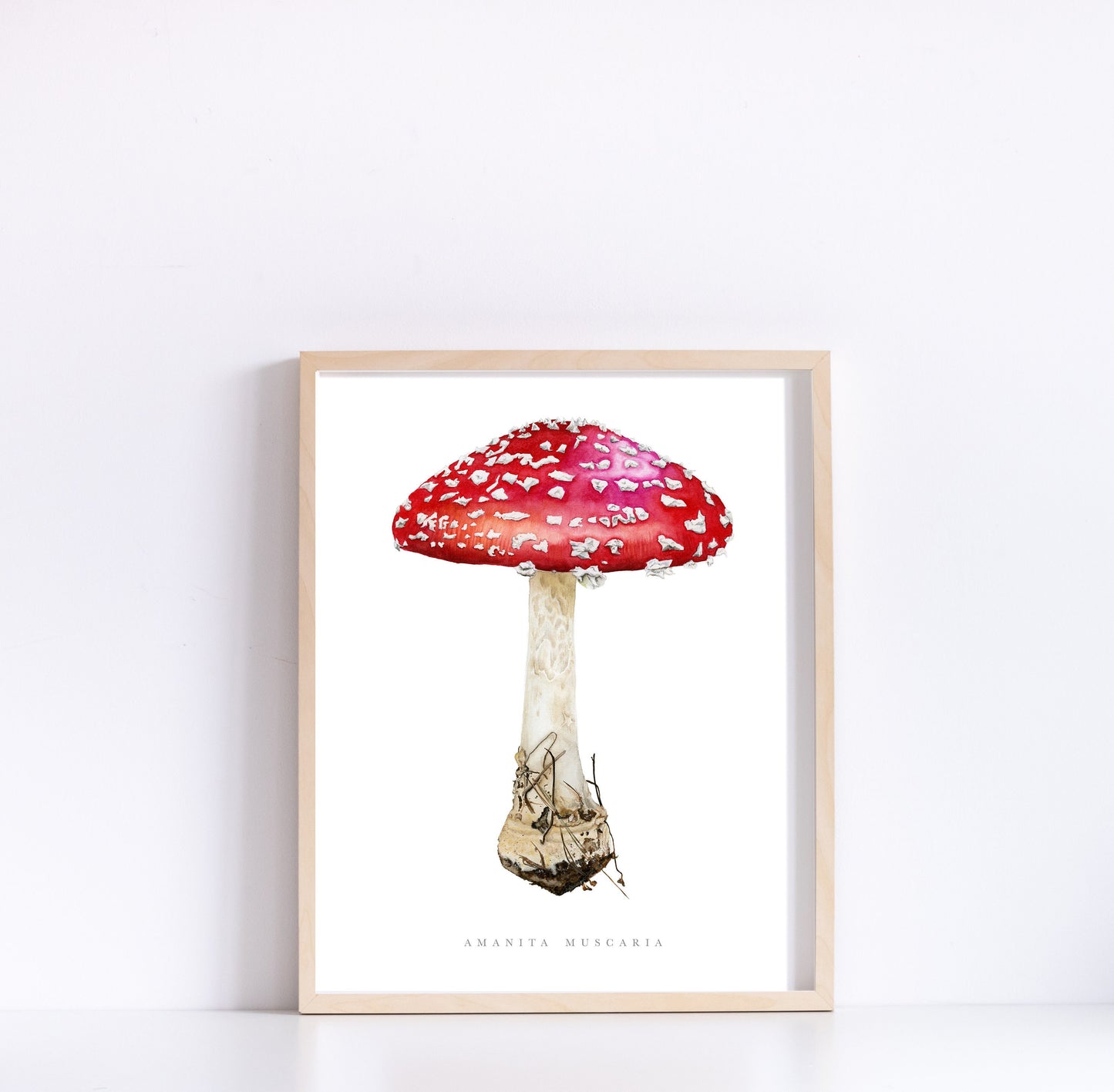 Amanita Muscaria Botanical Watercolor Print